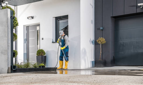 Boat and Dock Cleaning in Mount Olive, AL